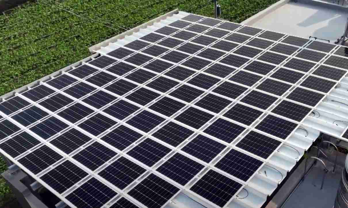 OBPaySunSteel光电浪板升级双玻结构，，，以提升机械负载强度及气候耐候度，，可广泛运用于多元场域